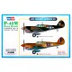 Maquette P-40M Kitty Hawk de Hobby Boss échelle 1/48