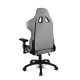 Cadeira gaming Drift DR190 cinza com almofadas ajustáveis