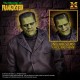 Maquette non peinte de Frankenstein 1/8 de X-Plus avec visages
