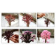 Magic Tree Sakura Kawaii