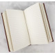 Livre Journal de l'Armée de Dumbledore, Harry Potter