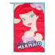 Bag and Set of Journey of The little Mermaid Disney