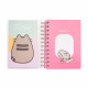 School Agenda Pusheen Ice Cream 2019 - 2020