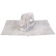 Carte de Voeux 3D Game of Thrones Stark