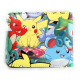 Portfolio Pokemon Aller
