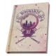 Confezione Regalo Di Harry Potter Mug + Portachiavi + Libro Hogwarts Edvige