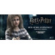 Harry Potter My Favourite Movie Figura 1/6 Bellatrix Lestrange Prisoner Ver 30 cm