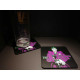 Confezione Regalo Thanos Avengers Infinity War Coppa + Portachiavi + Sottobicchieri