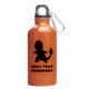 Botella de aluminio Pokemon training 400 ml