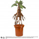 Stuffed Harry Potter Mandrake