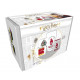 Gift Pack Harry Potter Quidditch