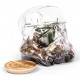 Biscuit & Terrarium Star Wars