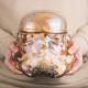 Biscotto & Terrario Di Star Wars