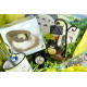 Caja Sorpresa Totoro 30 Aniversario