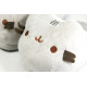 Scarpe pusheen aperto 