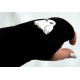 Mittens Hedwig Harry Potter