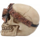 Replica Cranio con un Monocolo