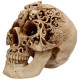 Replica Cranio Floreale