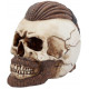 Réplica de calavera de Ragnar Lodbrock
