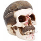Réplique crâne Arthur Shelby Peaky Blinders