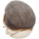 Replica Cranio Scagnozzo