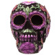 Figure Skull Day of the dead Floral