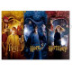 Puzzle 1000 Pieces, Harry Potter Ron, Harry and Hermione