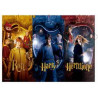 Puzzle 1000 Peças Harry Potter Ron, Harry e Hermione