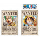 Pegatinas Luffy & Zoro One Piece