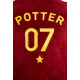 Albornoz polar Quidditch Harry Potter con Capucha