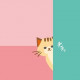 Scheda di gioco Meow Meow Cookie