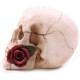 Figura Calavera Rosa