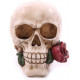 Figura Calavera Rosa