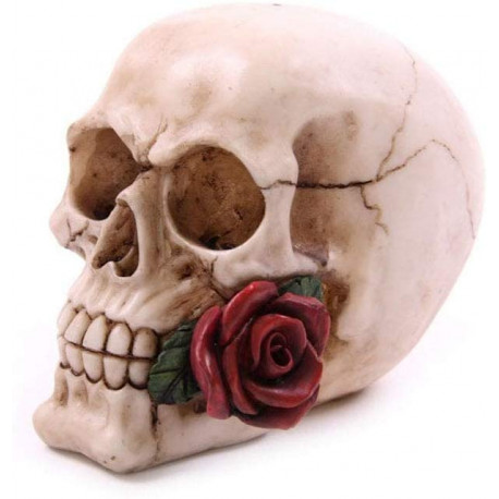 Figura Calavera Rosa