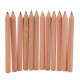 Tube de crayons de couleur Feline Fine