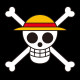Il corpo del bambino bandiera Rufy di One Piece