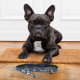 Correa para Perros Batman For Fan Pets