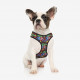 Arnés para Perros Marvel For Fan Pets