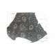 Mascarilla Black Cat Doodle protectora reutilizable