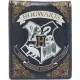 Carteira de Hogwarts Harry Potter