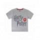 CAMISETA MANGA CORTA PREMIUM HARRY POTTER