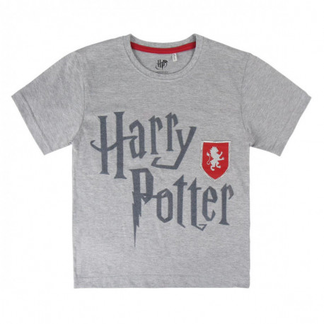 CAMISETA MANGA CORTA PREMIUM HARRY POTTER