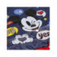 DELANTAL IMPERMEABLE MICKEY