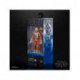 Figura Luke Piloto Snowspeeder E5 15 CM Black Series
