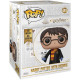 Funko Pop! Gigante Harry Potter y Hedwig 45 cm