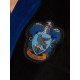 Albornoz Chica Ravenclaw Harry Potter