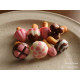 DIY galletas de chocolate Meiji en forma de seta