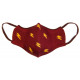 Mascarilla infantil reutilizable Gryffindor Harry Potter