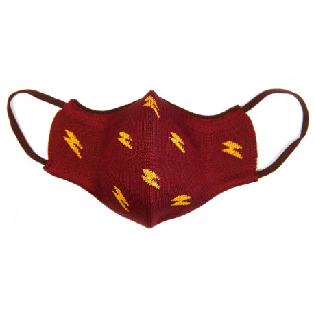 Mascarilla infantil reutilizable Gryffindor Harry Potter