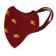 Mascarilla infantil reutilizable Gryffindor Harry Potter